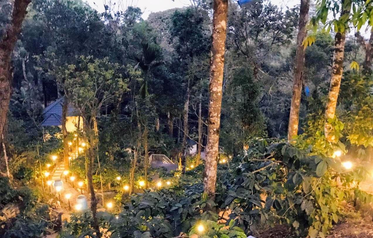 Misty Rain Estate Hotel Madikeri Buitenkant foto