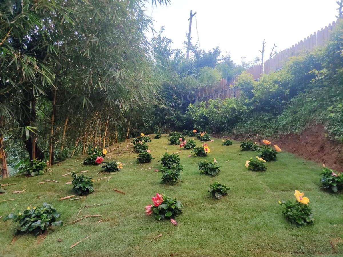 Misty Rain Estate Hotel Madikeri Buitenkant foto