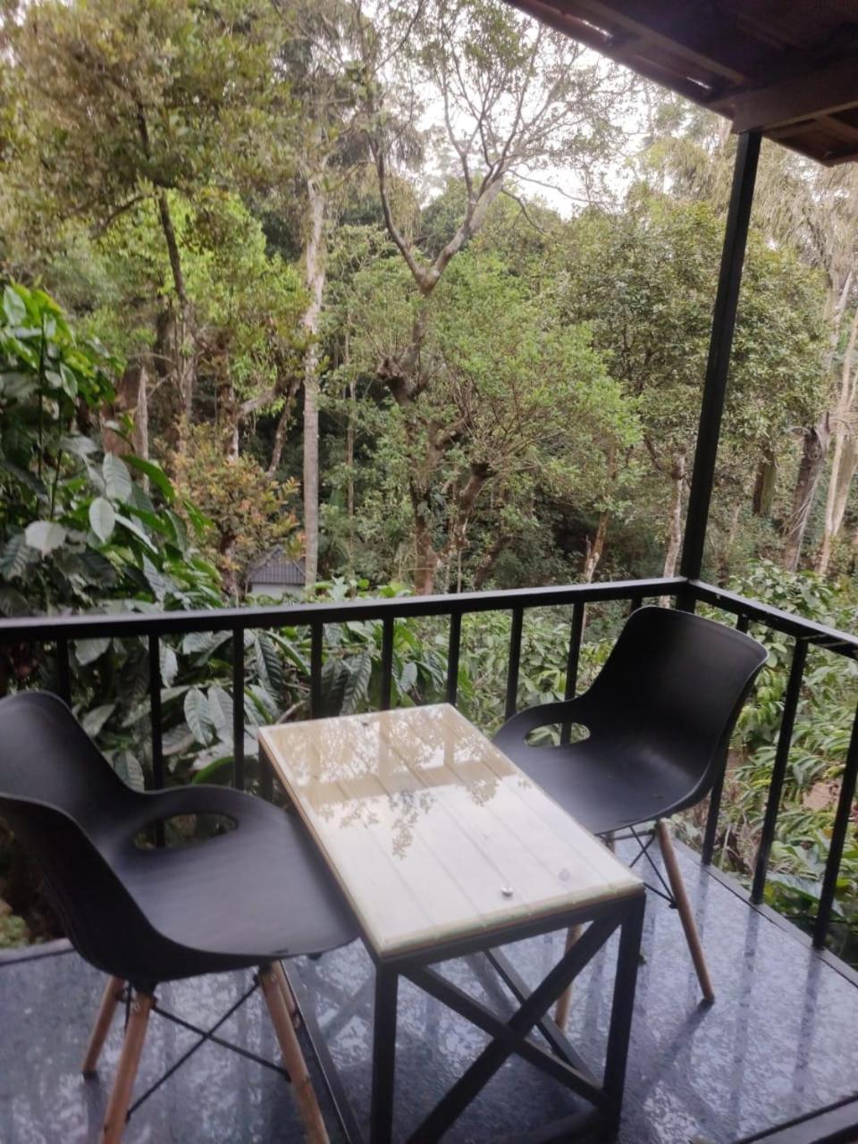 Misty Rain Estate Hotel Madikeri Buitenkant foto