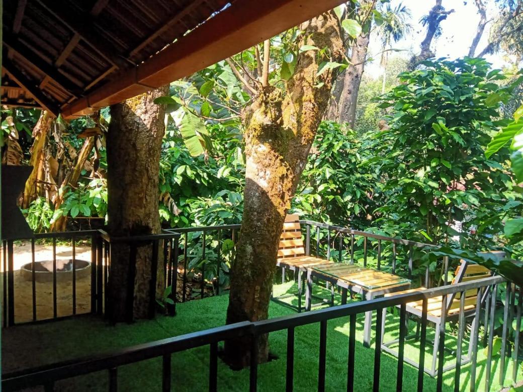 Misty Rain Estate Hotel Madikeri Buitenkant foto