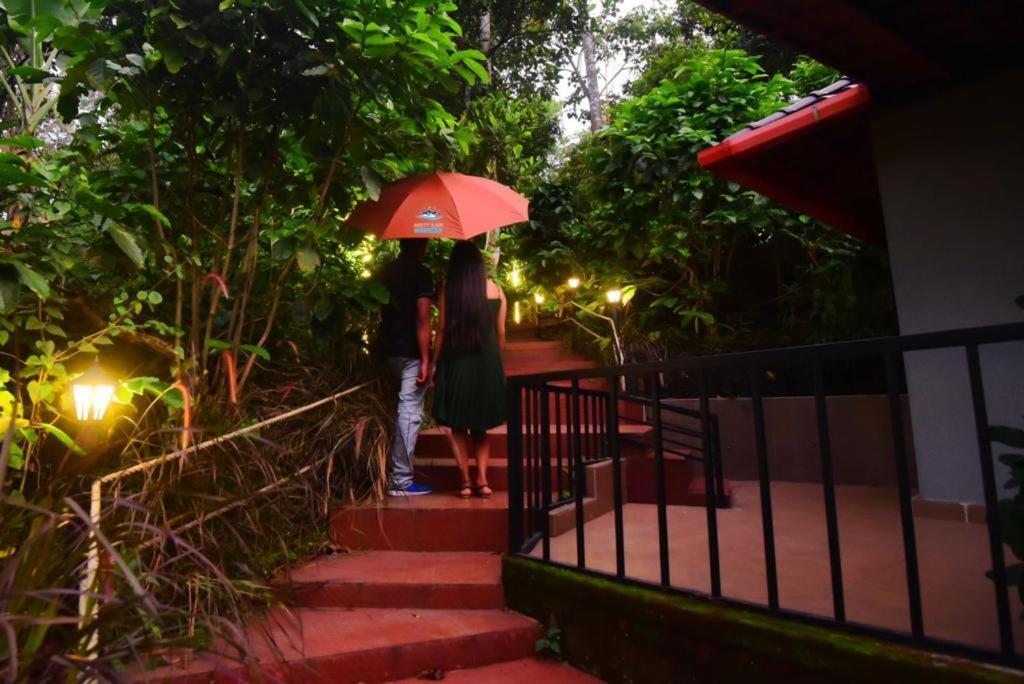 Misty Rain Estate Hotel Madikeri Buitenkant foto
