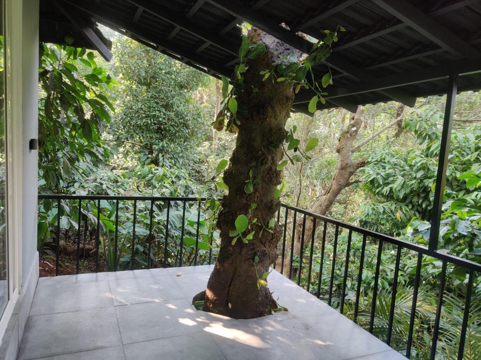 Misty Rain Estate Hotel Madikeri Buitenkant foto